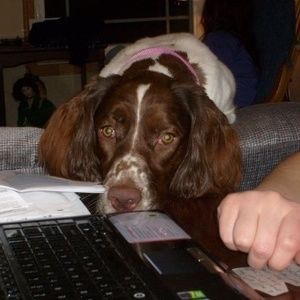 Meet your Posher, Warren